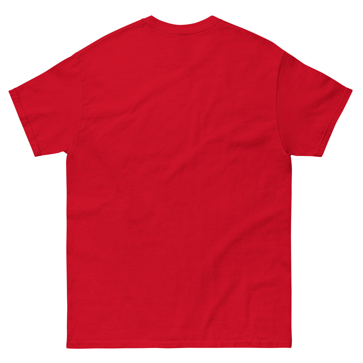 US Capitol - Unisex classic tee